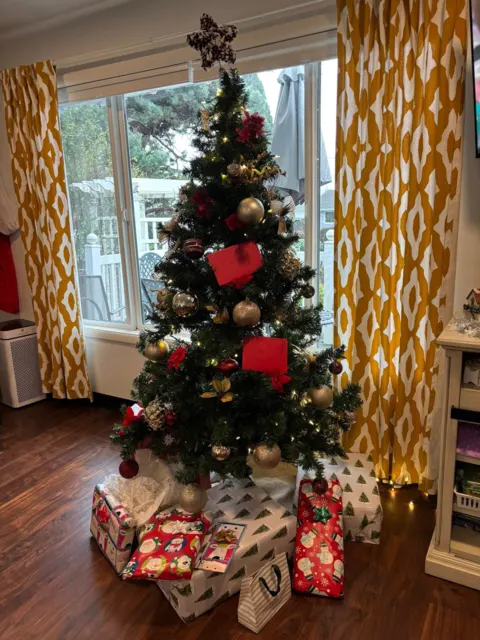 Decorated Christmas tree in the living room at AAA Shepherd’s Care Home