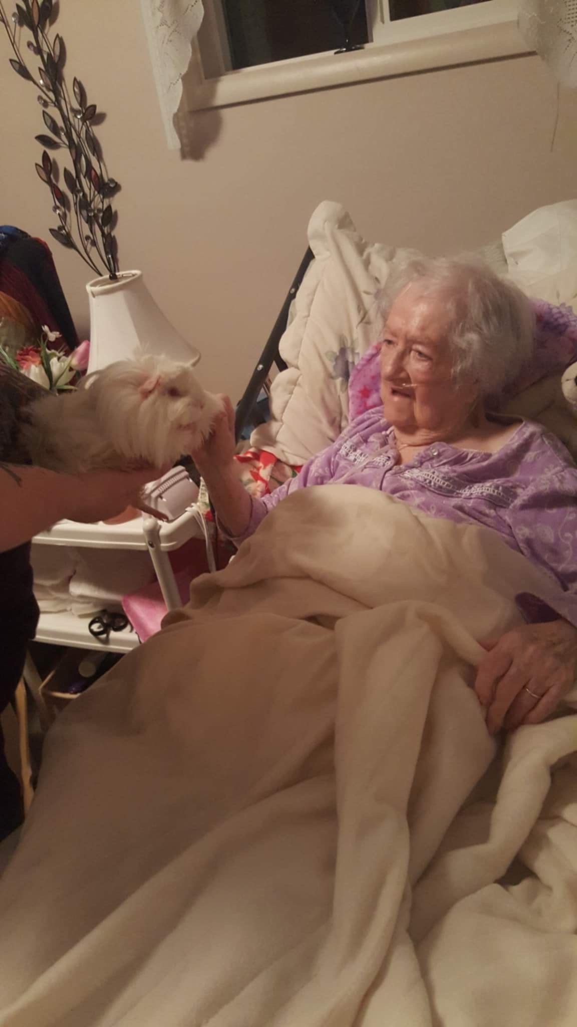 Inside AAA Shepherd's Care Home